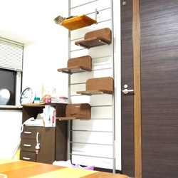 どこにいるでしょう？