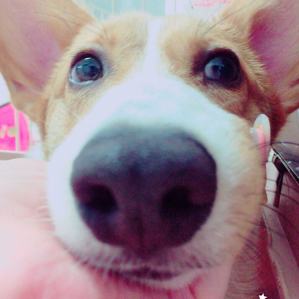 Timiのカバー写真