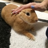 ogoogo1さん