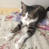 手を前に…いつもの態勢