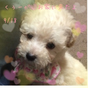 ママのお家に来た日っ           2015.09.18