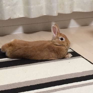 の写真