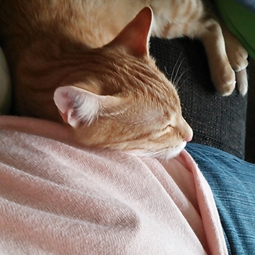 二人っきりになるとどてっと横に来て甘えん坊になるひなたｻﾝ♪