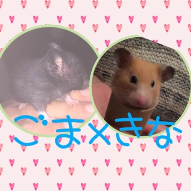 星ななのカバー写真
