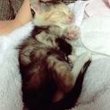 よろしくお願いします