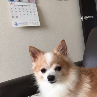 みなさんありがとうございました！