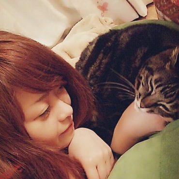 にゃんこもだいすき。