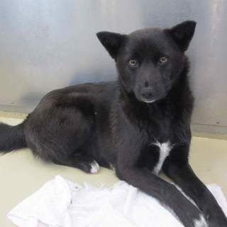 大至急ぉねがぃします！