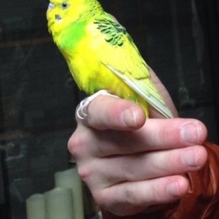 興味を持っていただきありがとうございました。