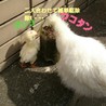 ひろきゅん さん
