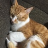 のんちゃんママ