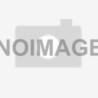 子犬の飼い主を探しています。