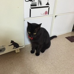 分かります。