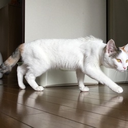 「イノチのキセキ」サムネイル1