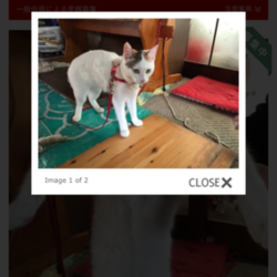 「イノチのキセキ」サムネイル2