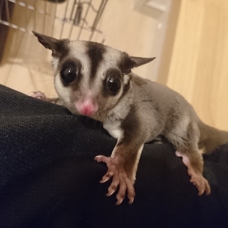 お問い合わせ多数のため募集を締め切ります