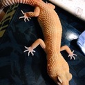 多数応募ありがとうございました。