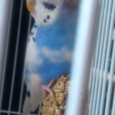 5月15日（日）おうちにやってきました☆