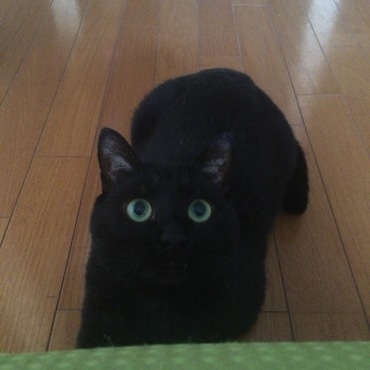 の写真