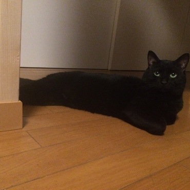 の写真