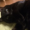 の写真