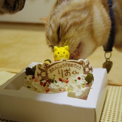 ハッピーバースデー