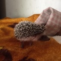 たくさんの応募ありがとうございます☆