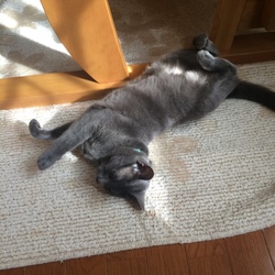 「くねくね♪」サムネイル2