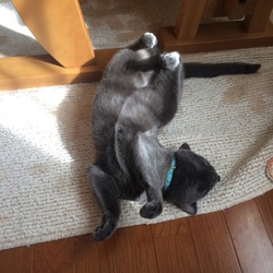 「くねくね♪」サムネイル3