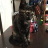 大きくなりました^_^
