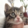 yukochan