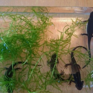 ありがとうございました！