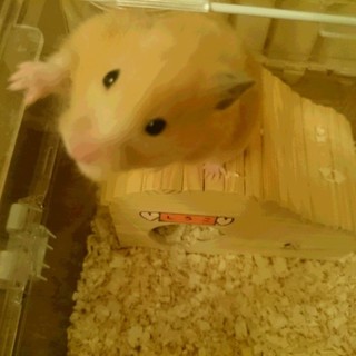 ありがとうございました！