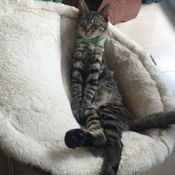 「新しい椅子」サムネイル3