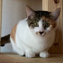 『たまちゃん』5ヶ月穏やか^ - ^