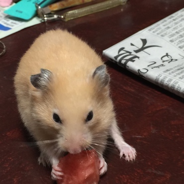 実家にてオヤツの時間です！(^.^)