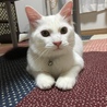 くぅちゃん♡