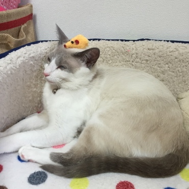 の写真