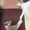 の写真