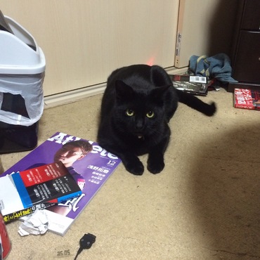 ギンの写真