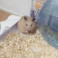 やっと戻りました-！★☆