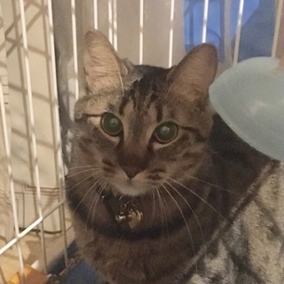 沢山のご応募有難う御座います。決定しました。