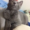 の写真