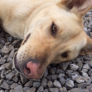 交渉中の為新規募集一時停止中