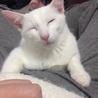の写真