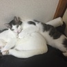 の写真