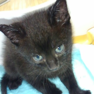 ありがとうございました！