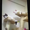 の写真