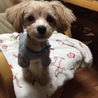 みほみゆう