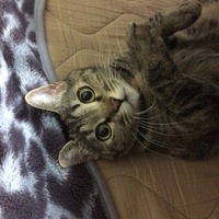 ちぃ